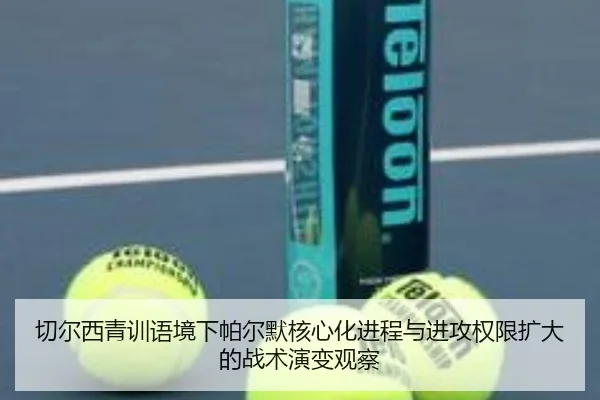 切尔西青训语境下帕尔默核心化进程与进攻权限扩大的战术演变观察