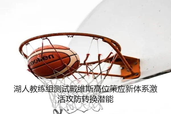 湖人教练组测试戴维斯高位策应新体系激活攻防转换潜能